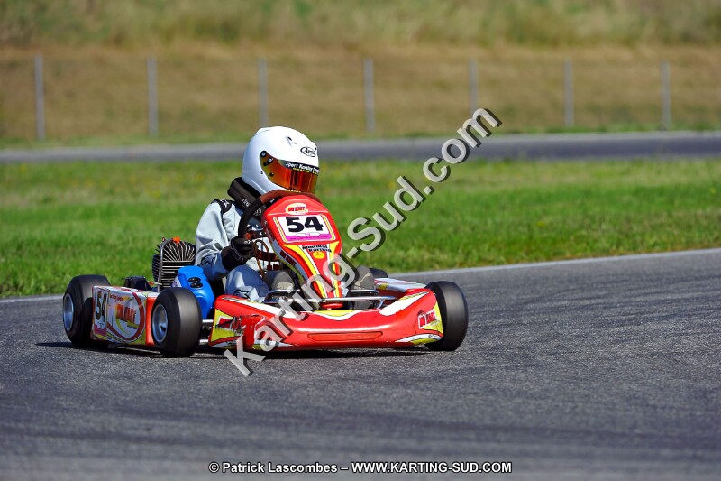 DSC_ (1290).jpg